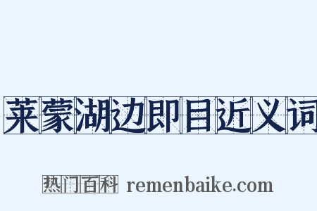 莱蒙湖边即目近义词是什么意思的图片